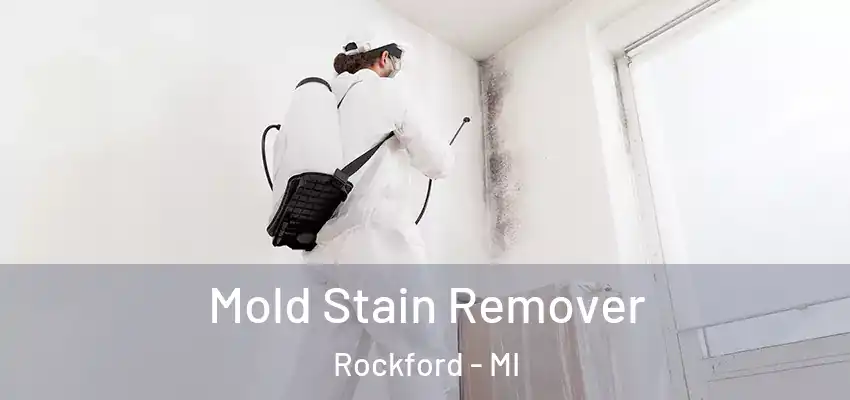  Mold Stain Remover Rockford - MI