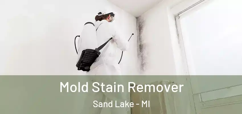  Mold Stain Remover Sand Lake - MI