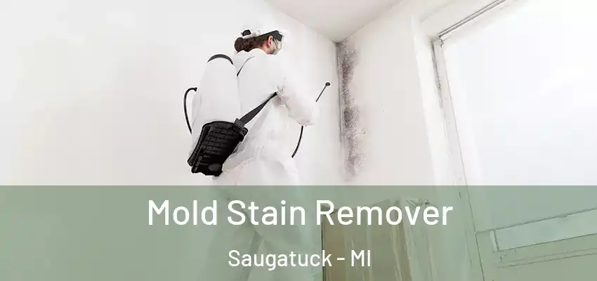  Mold Stain Remover Saugatuck - MI