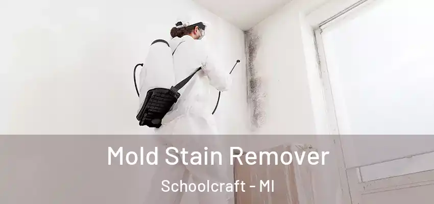  Mold Stain Remover Schoolcraft - MI