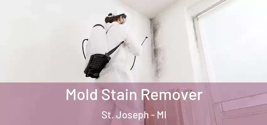  Mold Stain Remover St. Joseph - MI