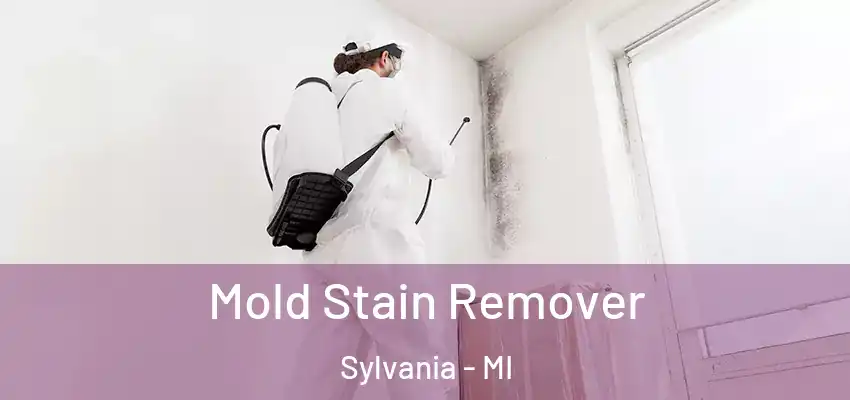  Mold Stain Remover Sylvania - MI