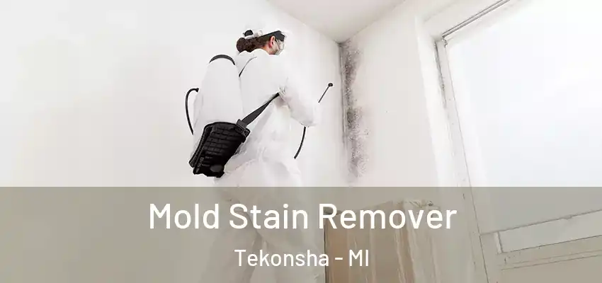 Mold Stain Remover Tekonsha - MI