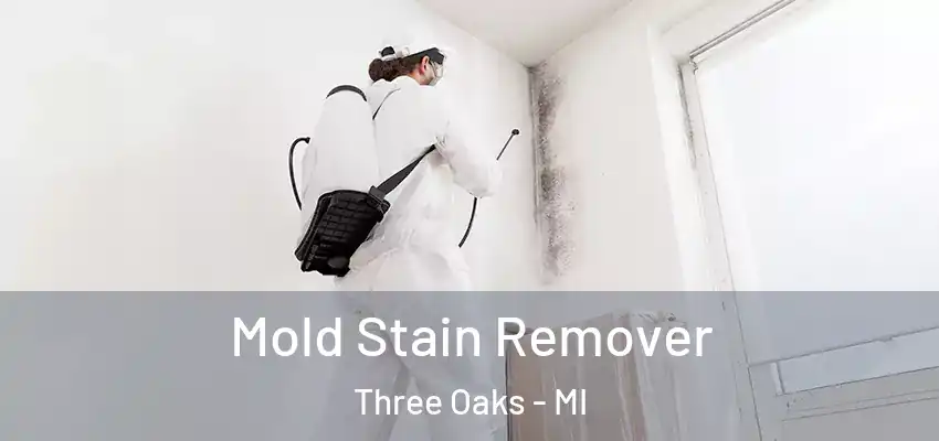  Mold Stain Remover Three Oaks - MI