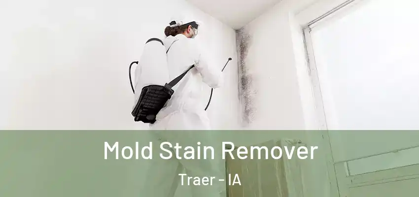  Mold Stain Remover Traer - IA