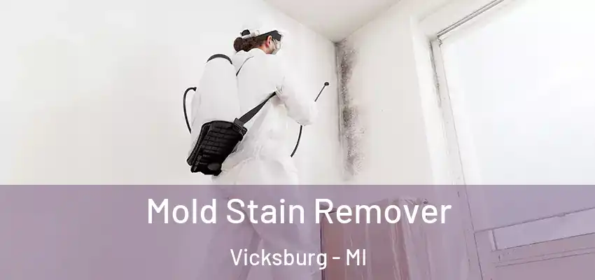  Mold Stain Remover Vicksburg - MI