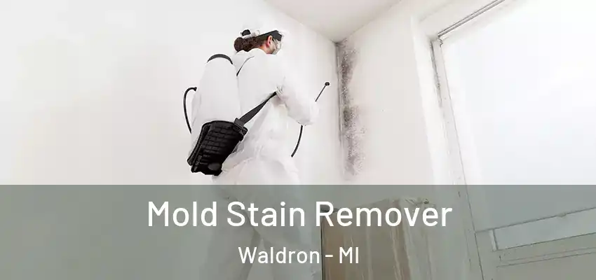 Mold Stain Remover Waldron - MI
