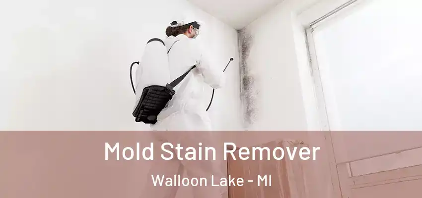  Mold Stain Remover Walloon Lake - MI