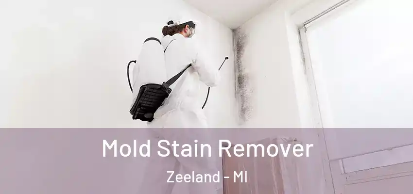  Mold Stain Remover Zeeland - MI