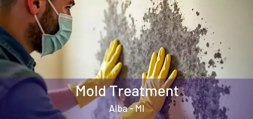  Mold Treatment Alba - MI