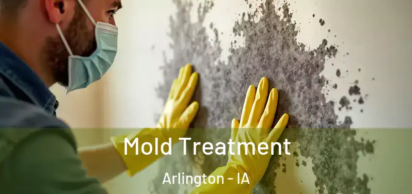  Mold Treatment Arlington - IA