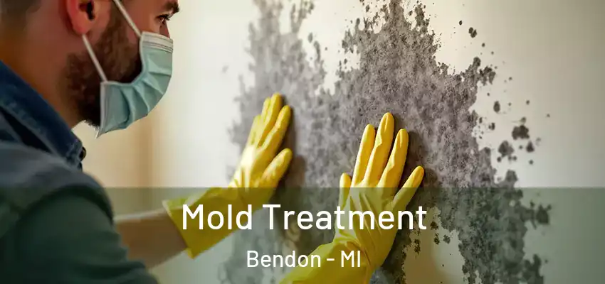  Mold Treatment Bendon - MI