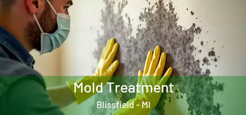  Mold Treatment Blissfield - MI