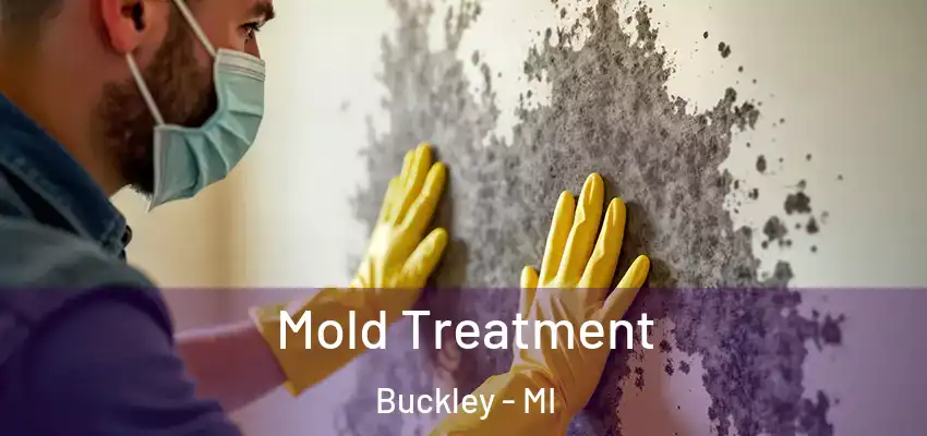  Mold Treatment Buckley - MI