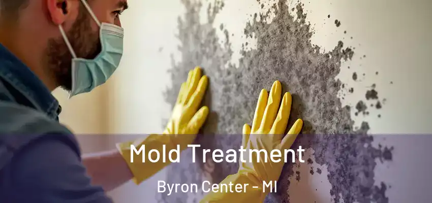  Mold Treatment Byron Center - MI