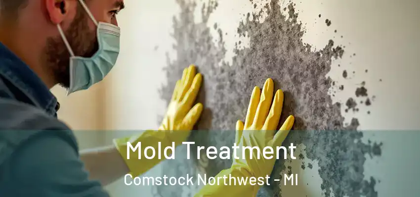  Mold Treatment Comstock Northwest - MI