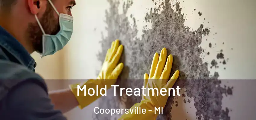  Mold Treatment Coopersville - MI