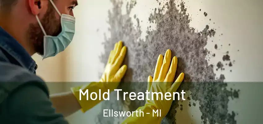  Mold Treatment Ellsworth - MI