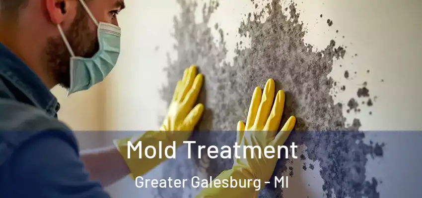  Mold Treatment Greater Galesburg - MI