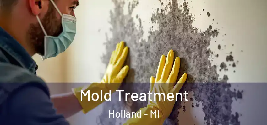  Mold Treatment Holland - MI