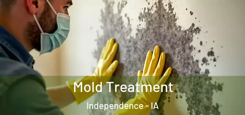  Mold Treatment Independence - IA