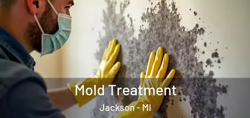 Mold Treatment Jackson - MI