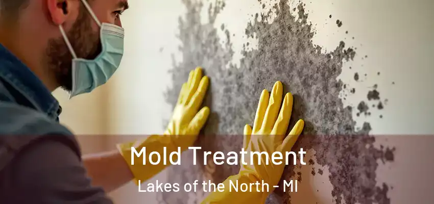  Mold Treatment Lakes of the North - MI