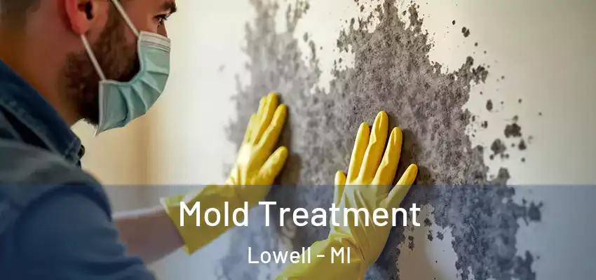 Mold Treatment Lowell - MI