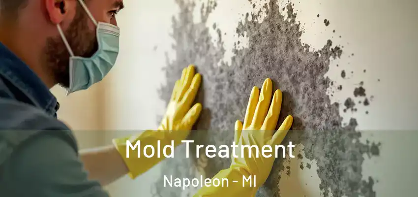  Mold Treatment Napoleon - MI