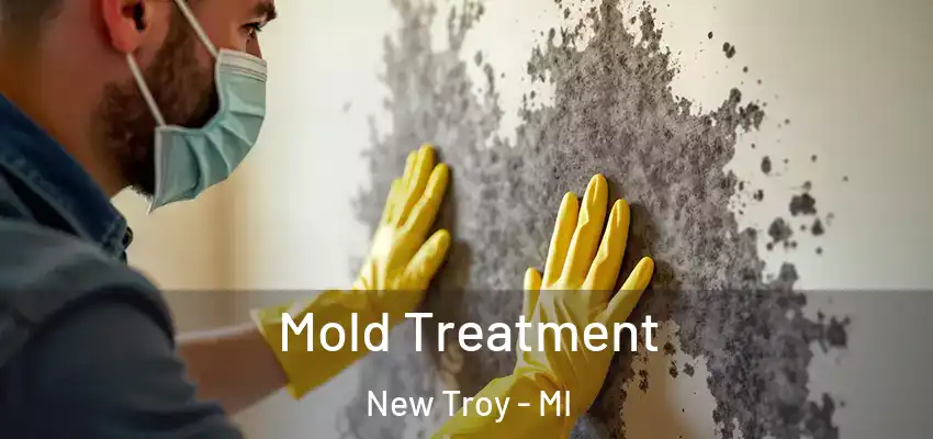  Mold Treatment New Troy - MI