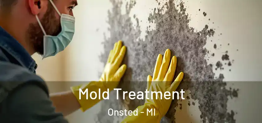  Mold Treatment Onsted - MI