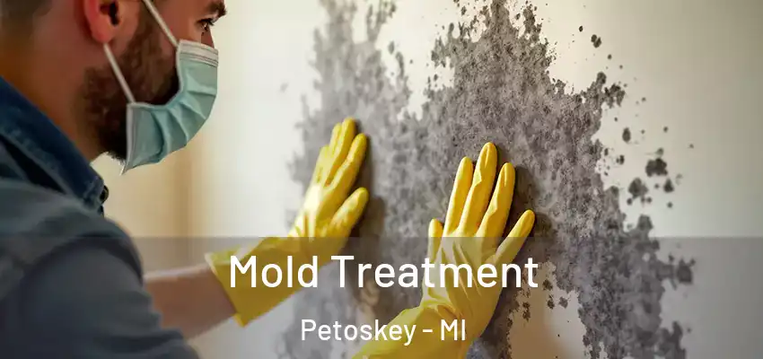 Mold Treatment Petoskey - MI