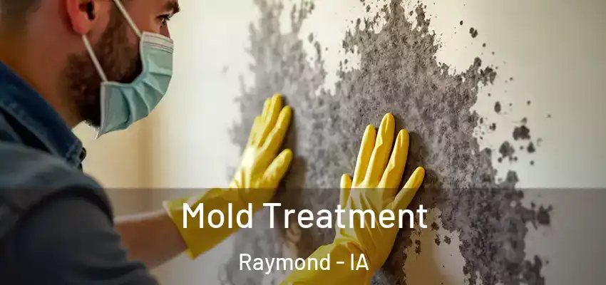  Mold Treatment Raymond - IA
