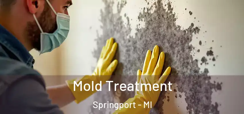  Mold Treatment Springport - MI