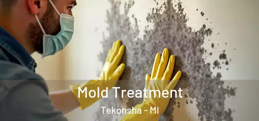 Mold Treatment Tekonsha - MI