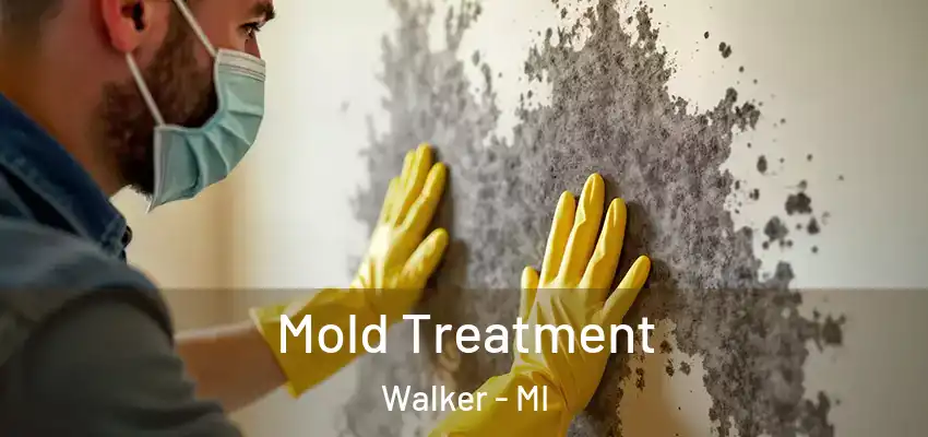  Mold Treatment Walker - MI