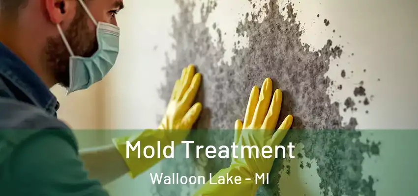  Mold Treatment Walloon Lake - MI