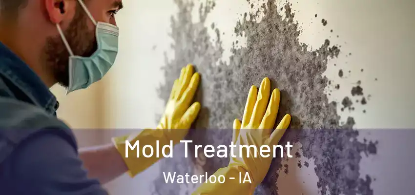  Mold Treatment Waterloo - IA
