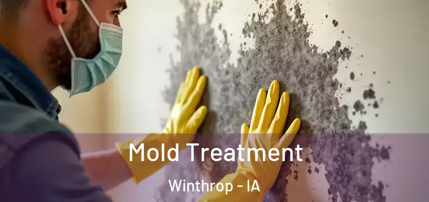  Mold Treatment Winthrop - IA