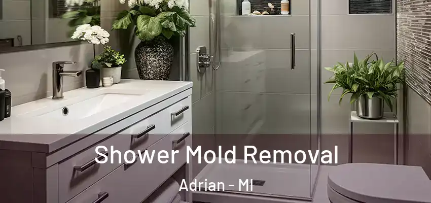  Shower Mold Removal Adrian - MI
