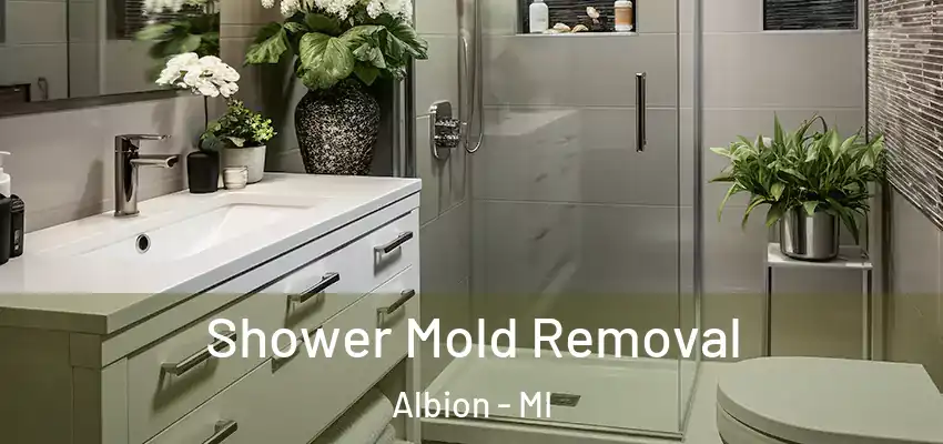  Shower Mold Removal Albion - MI