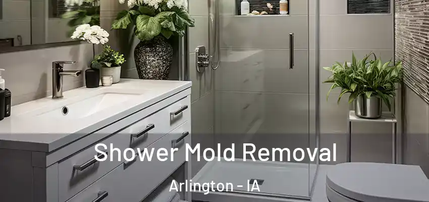  Shower Mold Removal Arlington - IA