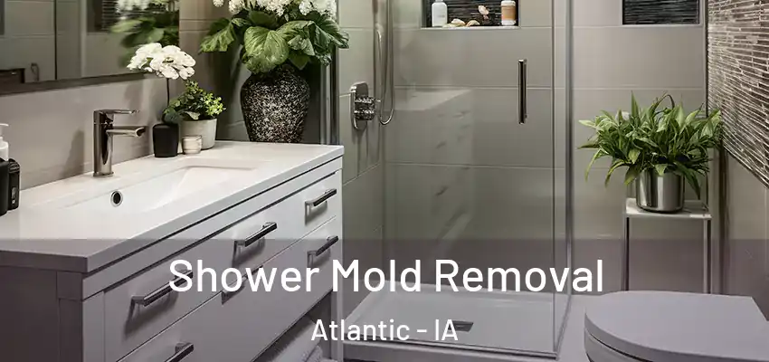  Shower Mold Removal Atlantic - IA