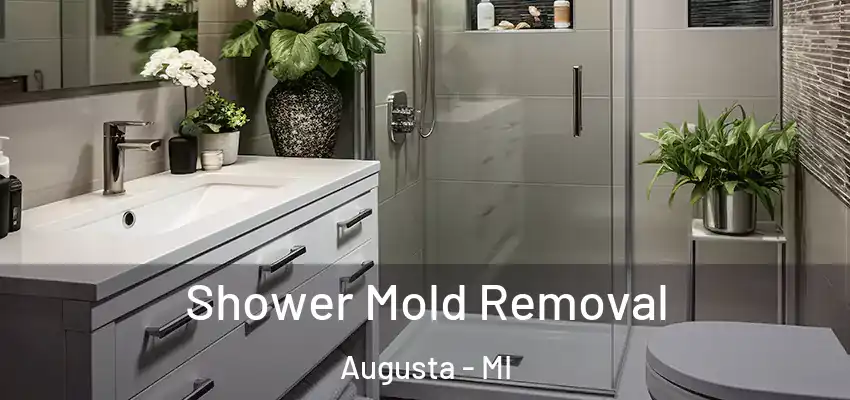  Shower Mold Removal Augusta - MI