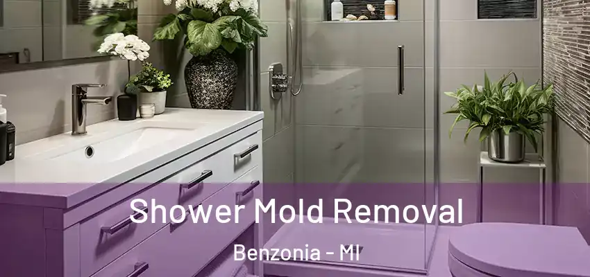  Shower Mold Removal Benzonia - MI