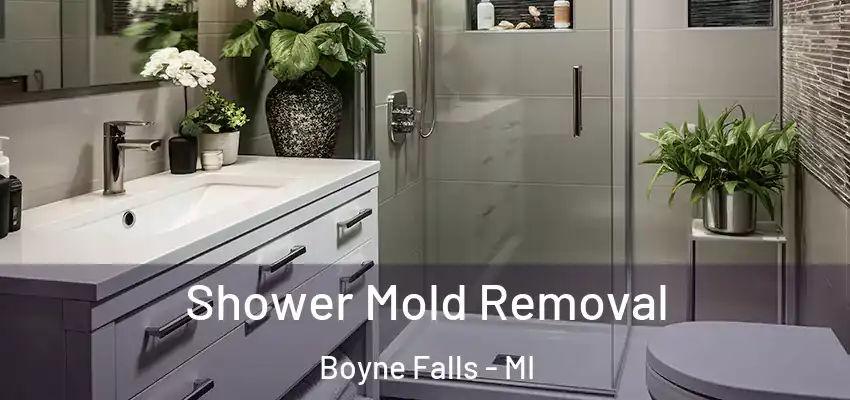  Shower Mold Removal Boyne Falls - MI
