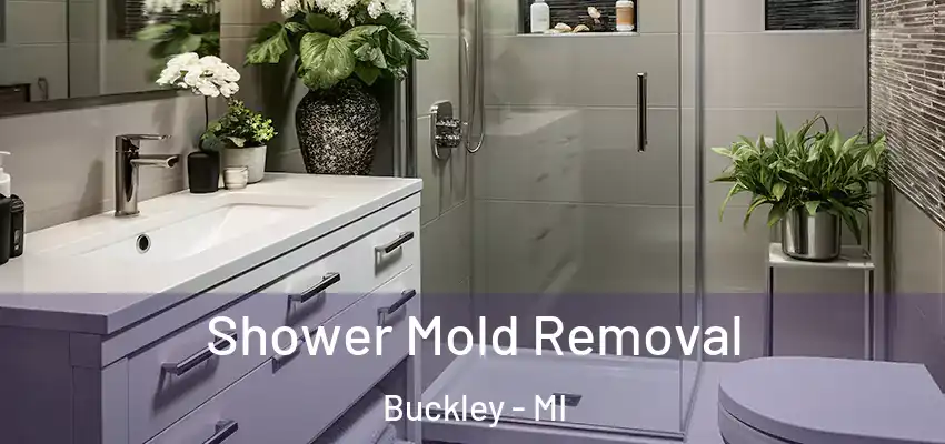  Shower Mold Removal Buckley - MI