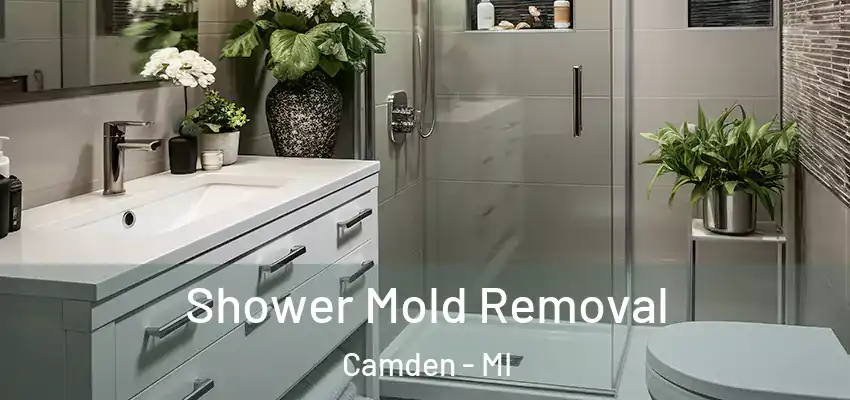  Shower Mold Removal Camden - MI