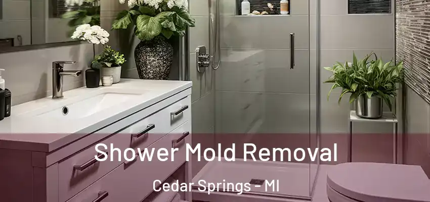 Shower Mold Removal Cedar Springs - MI