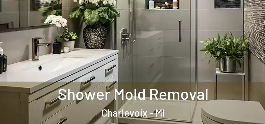  Shower Mold Removal Charlevoix - MI